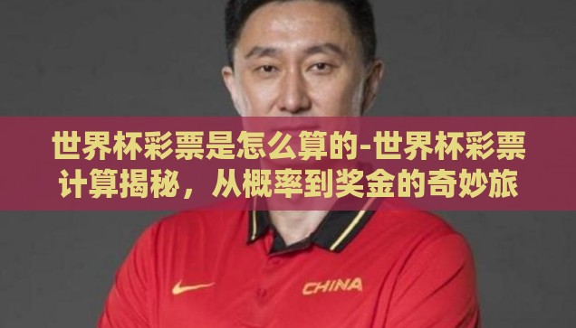 世界杯彩票是怎么算的-世界杯彩票计算揭秘，从概率到奖金的奇妙旅程