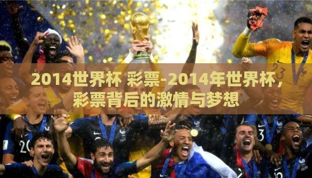 2014世界杯 彩票-2014年世界杯，彩票背后的激情与梦想