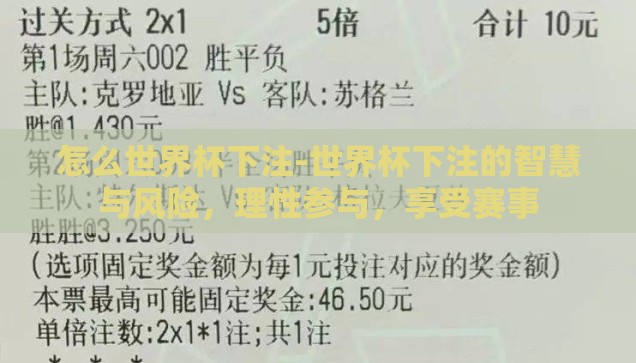 怎么世界杯下注-世界杯下注的智慧与风险，理性参与，享受赛事