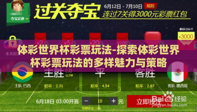 世界杯彩票投注方式-世界杯彩票，多样投注方式与策略解析