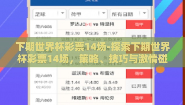 周日世界杯竞猜-周末激情碰撞，周日世界杯竞猜的狂热盛宴