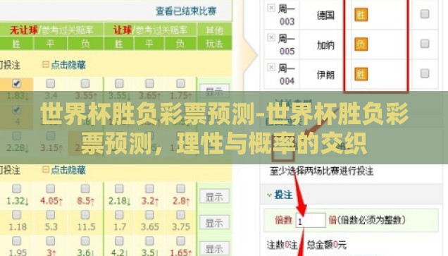 世界杯胜负彩票预测-世界杯胜负彩票预测，理性与概率的交织