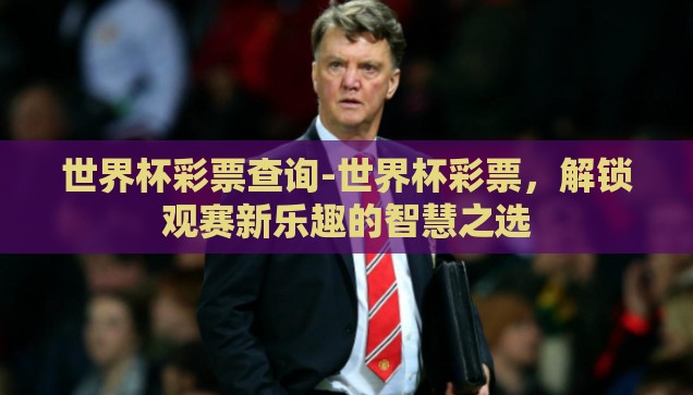 世界杯彩票查询-世界杯彩票，解锁观赛新乐趣的智慧之选