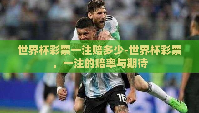 世界杯彩票没法买了-世界杯彩票新规，购彩之路的暂时转折