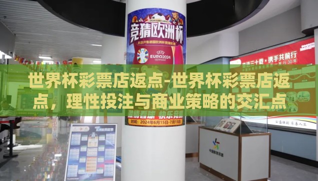 世界杯彩票查询-世界杯彩票，解锁观赛新乐趣的智慧之选