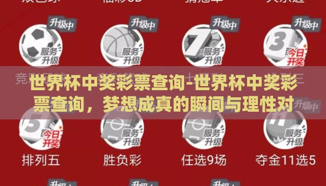 世界杯中奖彩票查询-世界杯中奖彩票查询，梦想成真的瞬间与理性对待的智慧
