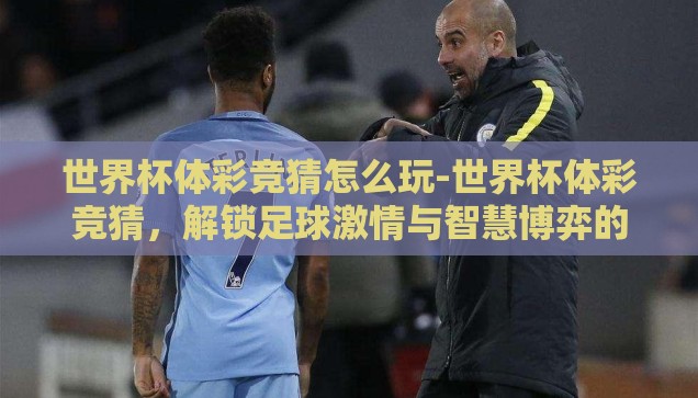 世界杯体彩竞猜怎么玩-世界杯体彩竞猜，解锁足球激情与智慧博弈的双重体验