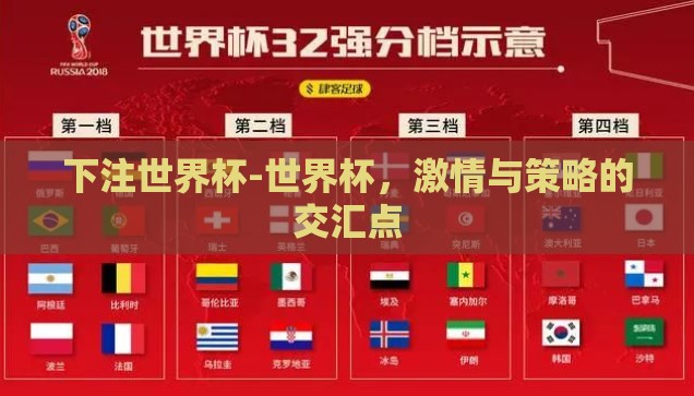 下注世界杯-世界杯，激情与策略的交汇点