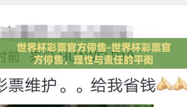 世界杯彩票官方停售-世界杯彩票官方停售，理性与责任的平衡