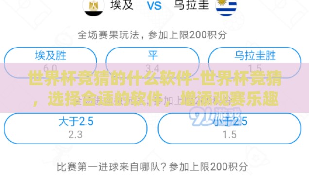 世界杯猜球彩票-世界杯猜球彩票，激情与智慧的碰撞
