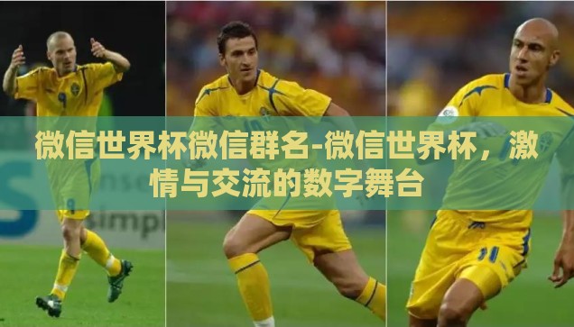 微信世界杯微信群名-微信世界杯，激情与交流的数字舞台